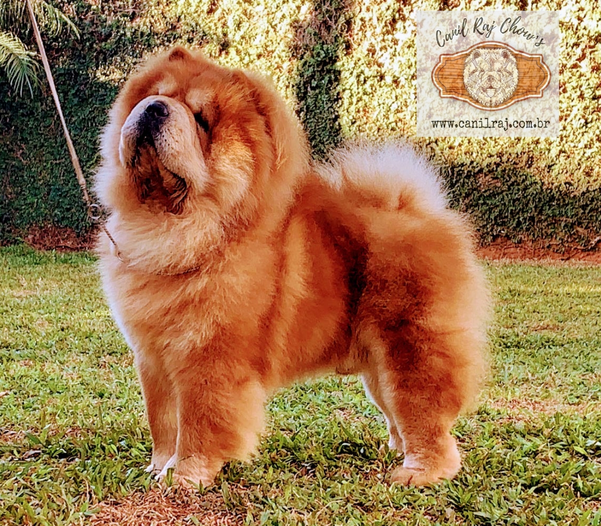 PicsArt_07-05-08.38.46