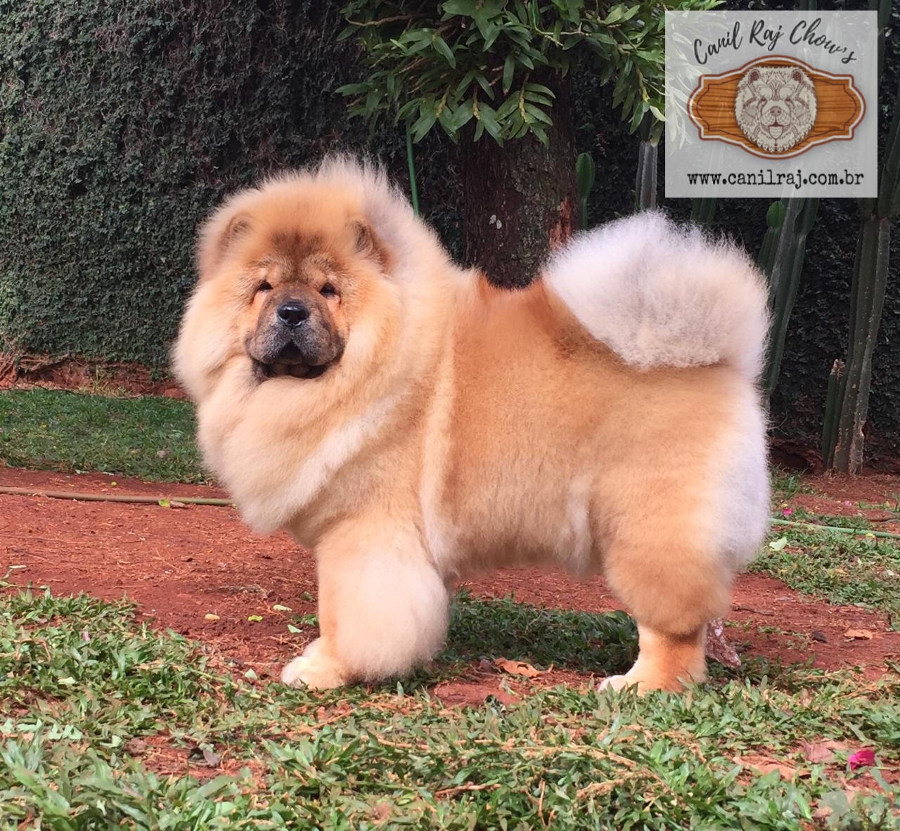 PicsArt_01-03-07.57.41