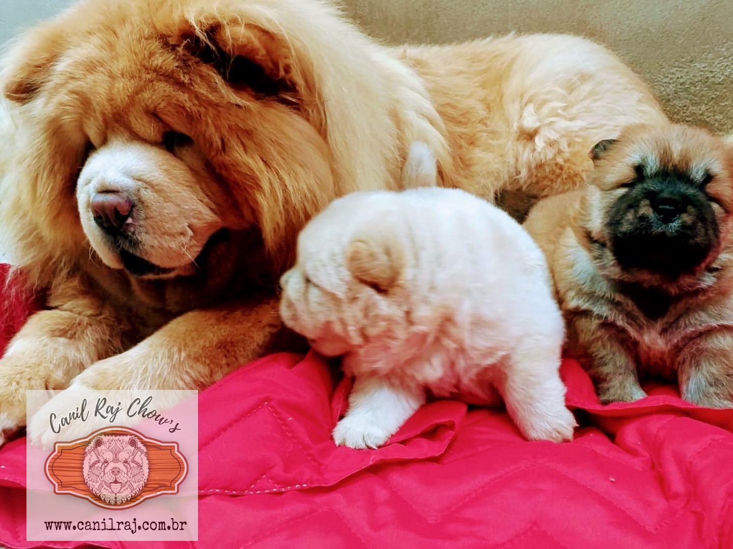 PicsArt_01-19-11.53.12