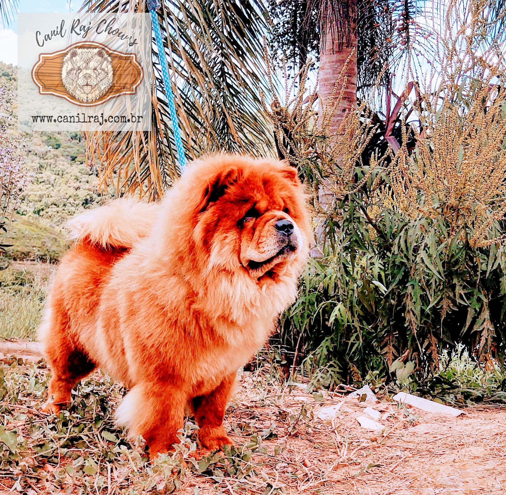 PicsArt_01-30-02.25.30