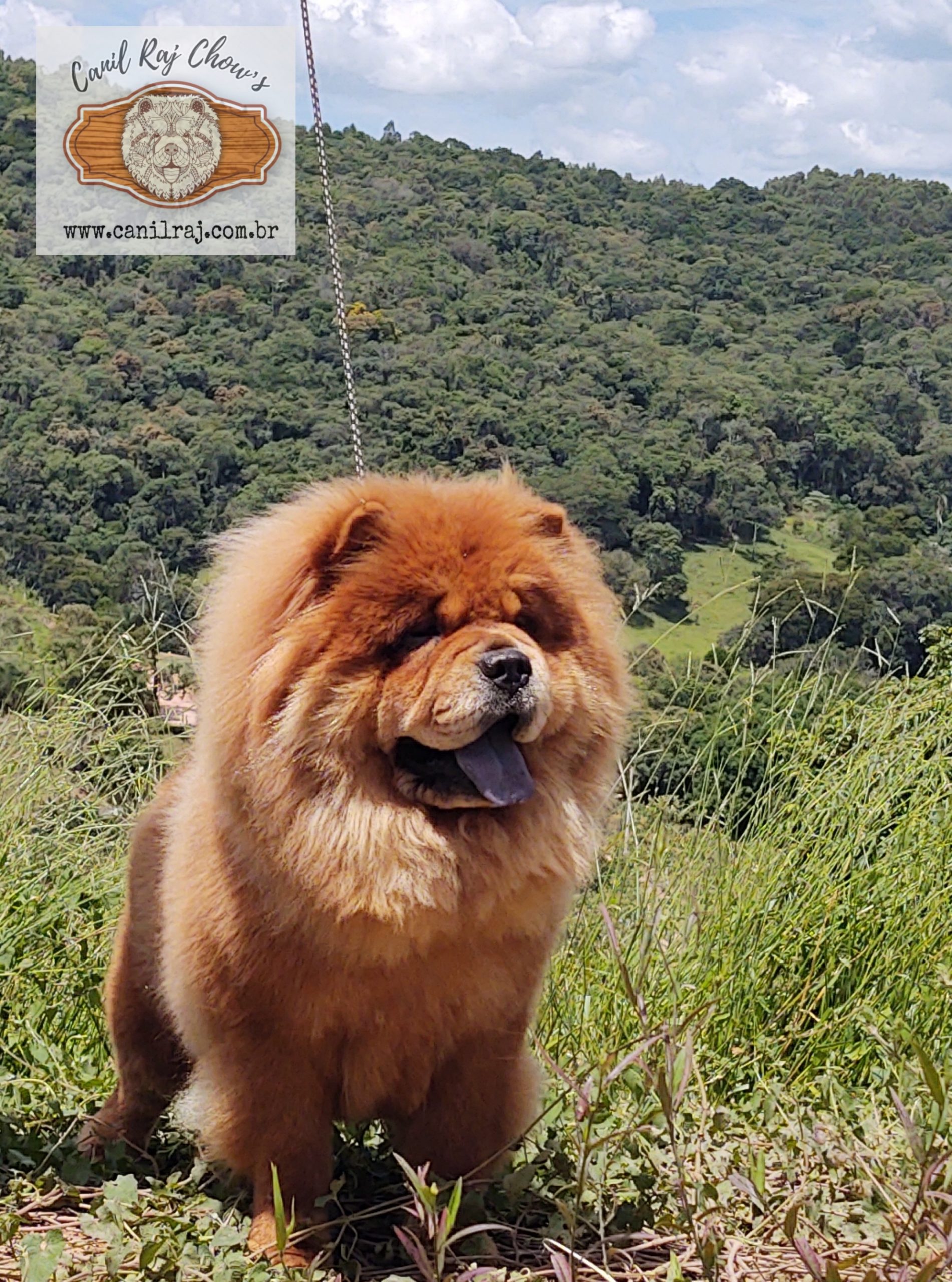 PicsArt_01-30-03.21.12