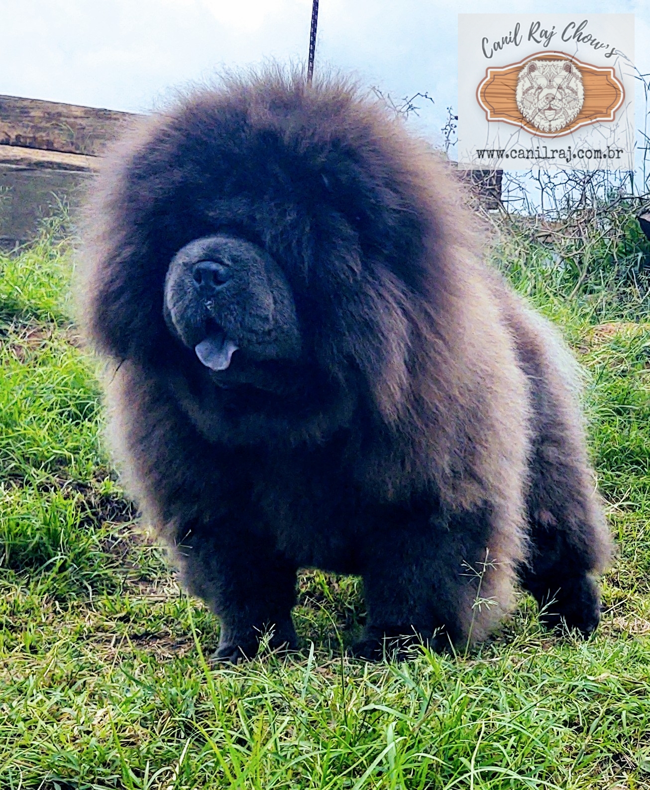 PicsArt_07-07-09.50.59